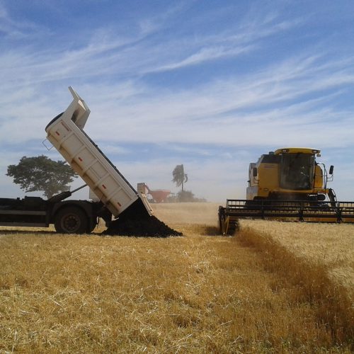 Produtores celebram produtividade e menor custo com adubo gratuito da Sanepar