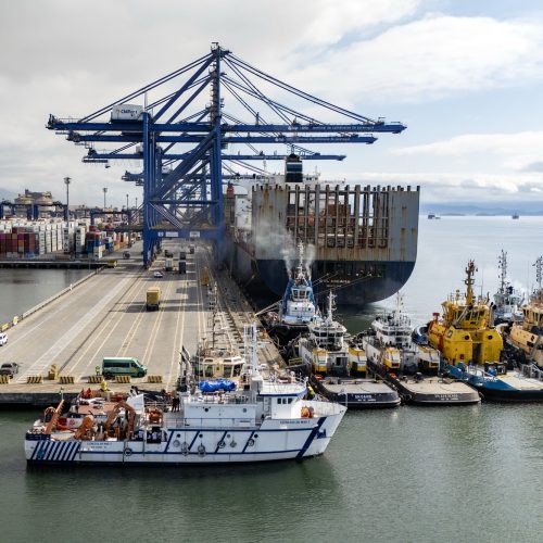 Navio-escola atraca no Porto de Paranaguá e oferece experiência prática a universitários