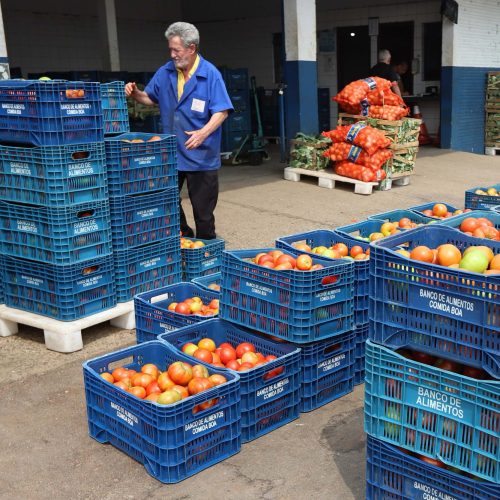 Paraná tem maior número de municípios com políticas de segurança alimentar do Brasil