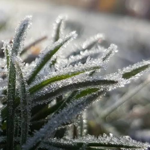 Dia mais frio do mês registra temperaturas negativas em quatro cidades paranaenses