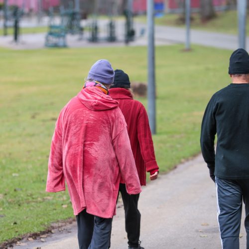 Após 2º dia de temperaturas negativas no Paraná, termômetros começam a subir