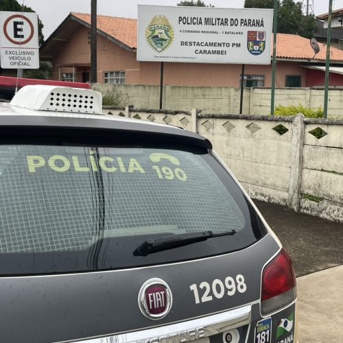 Adolescente de 16 anos desaparece após ir para escola em Carambeí