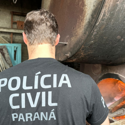 Polícia Civil incinera drogas apreendidas em Carambeí