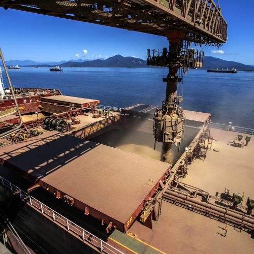 Empresas do Paraná diversificam mercados e exportações crescem 3,5% em outubro