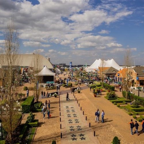 Abertura oficial marca o início da 25ª Agroleite nesta terça-feira