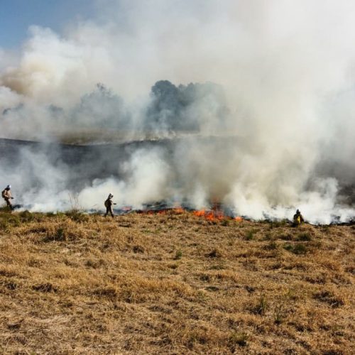 Atear fogo em lixo em terrenos baldios responde por mais de 30% dos incêndios no Paraná