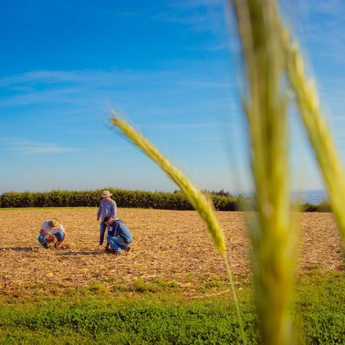 Paraná seleciona 253 agentes para atuar na difusão de práticas sustentáveis no meio rural