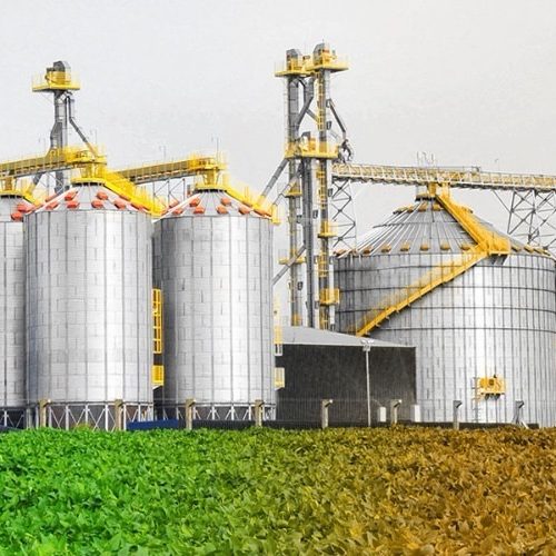 Carambeí sedia a IX Conferência Brasileira de Pós-Colheita em agosto de 2026
