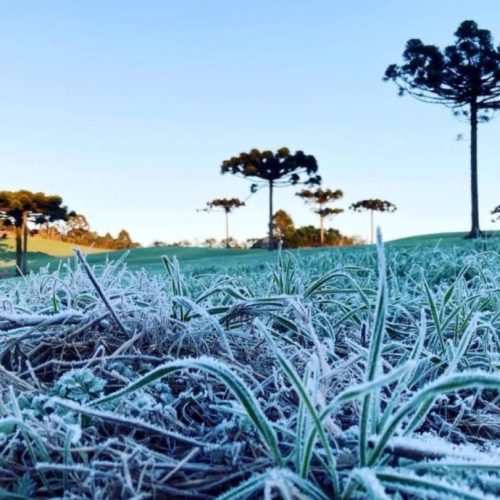 Feriadão terá frio intenso no Paraná com mínima de 0°C