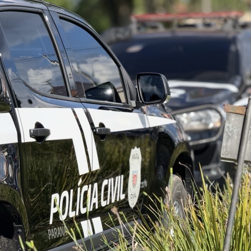 Homem é preso em flagrante por armazenar pornografia infantil em Carambeí