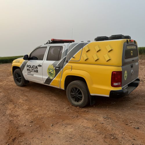 Homem com mandado em aberto é preso em Carambeí