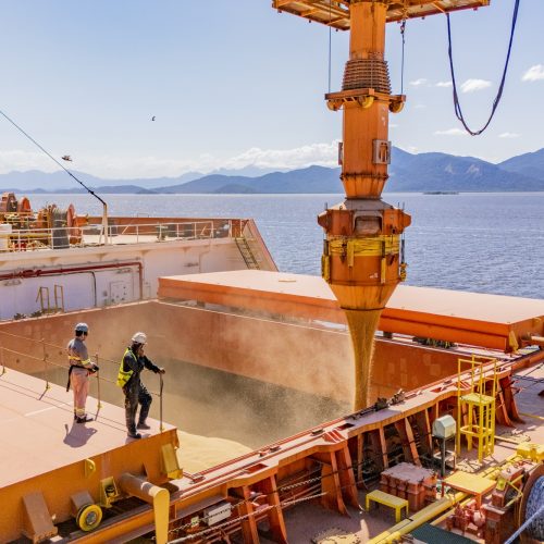 Exportações crescem 28,8% nos portos do Paraná e impulsionam movimentação em maio