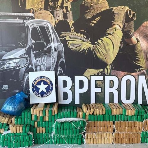 PMPR apreende 950 quilos de maconha no fim de semana, com prejuízo milionário ao tráfico