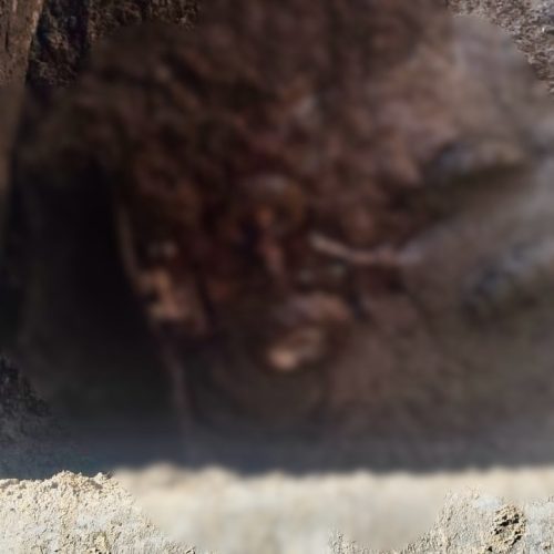 Bombeiros realizam operação para localizar operador que caiu em fossa em Carambeí