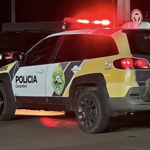 Vítima é baleada e não resiste em Carambeí