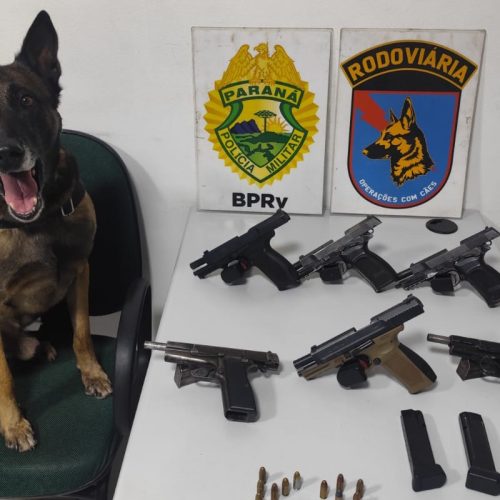 PMPR apreende seis pistolas em ônibus em operação de combate ao tráfico de armas na PR-151