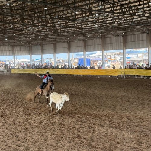 Rodeio Crioulo do CTG Querência Campeira reúne competidores e celebra cultura gaúcha em Castro