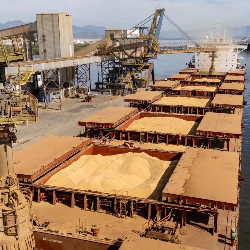 Soja responde por 21% da movimentação e lidera exportações no Paraná