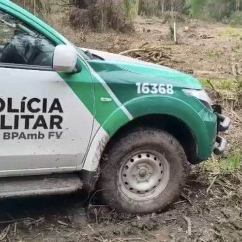 Polícia Ambiental aplica multas por desmatamento&nbsp;em cidades da região