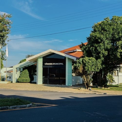 Carambeí promove audiência pública sobre aleitamento materno e saúde mental materna