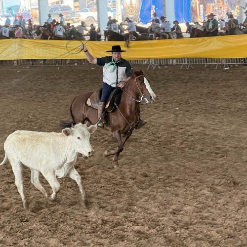 Castro sediará maior encontro tradicionalista&nbsp;do Paraná em dezembro, no Parque de Exposições