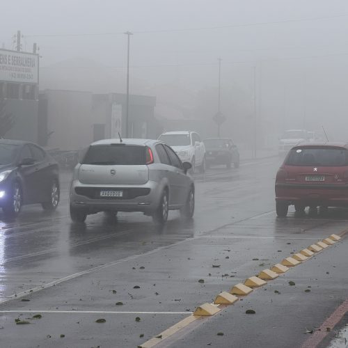 Paraná tem alerta de vendaval com rajadas de até 100 km/h; veja previsão