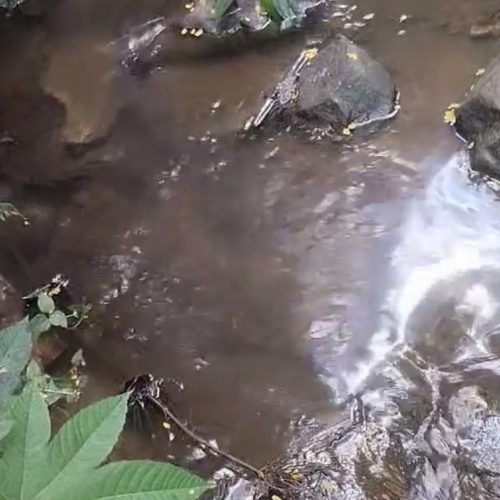 Moradores denunciam presença de combustível nas águas do Rio Lajeado em Carambeí