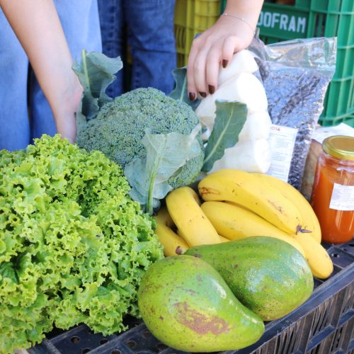 Feira Mais tem edições canceladas nos dias 17 e 18 de setembro em Castro