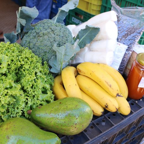 Feira Mais chega à cidade e ao interior com nova rodada de atendimentos nesta semana