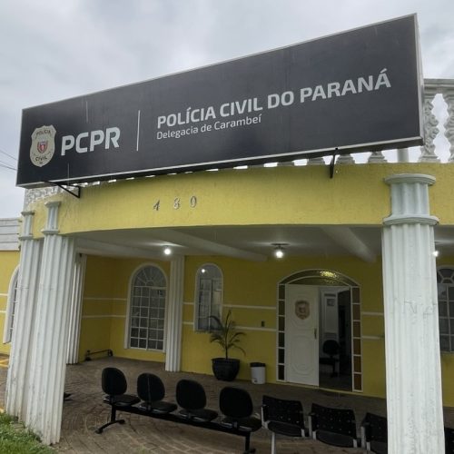 Morte de criança de 6 anos segue sob investigação em Carambeí 