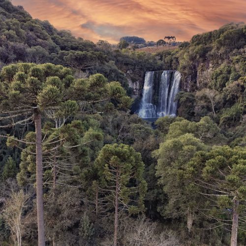 Prefeitos da AMCG participam de evento sobre sustentabilidade com o Governador Ratinho Junior