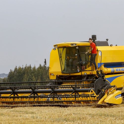 Salários da agropecuária do Paraná crescem no 2º trimestre e superam em 58% a média nacional