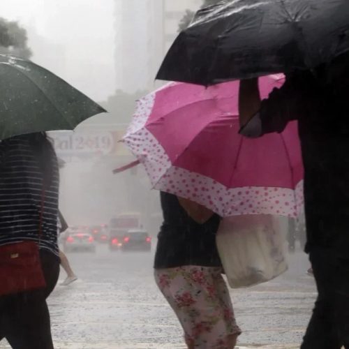 Sesa alerta população sobre prevenção da leptospirose após chuvas e alagamentos
