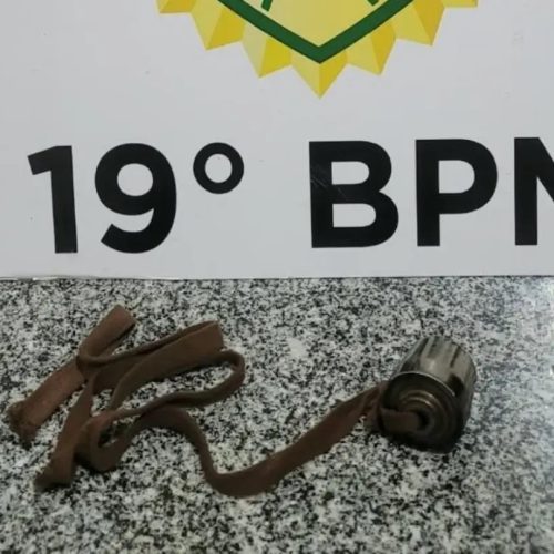 Menina de 9 anos é agredida com chicote de ferro no Paraná