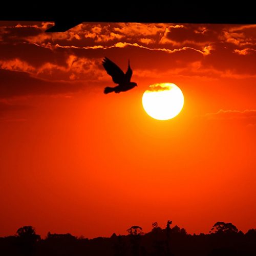 Com La Niña, verão 2025/2026 foi marcado por chuvas irregulares e temperatura de 39,7°C