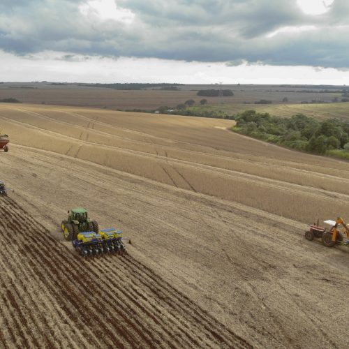 Com fim do vazio sanitário, plantio de soja começa em 5,8 milhões de hectares no Paraná