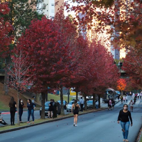 Outono começa na sexta com chuva acima da média e mais dias com amplitude térmica