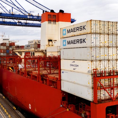 Do chapéu às carnes, Paraná lidera exportações nacionais em diversos segmentos