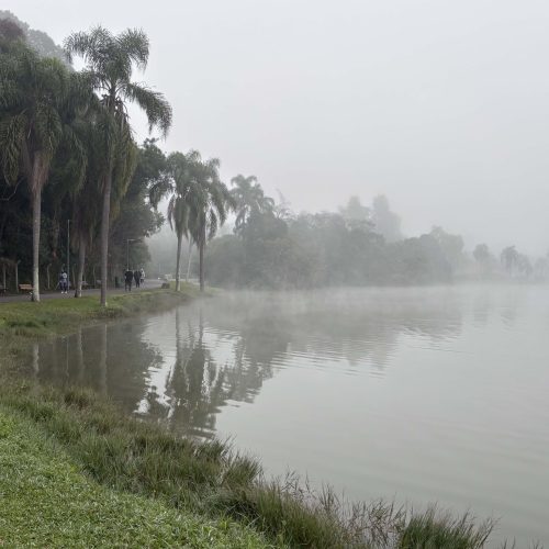 Quinta-feira registra o dia mais gelado do ano em Carambeí