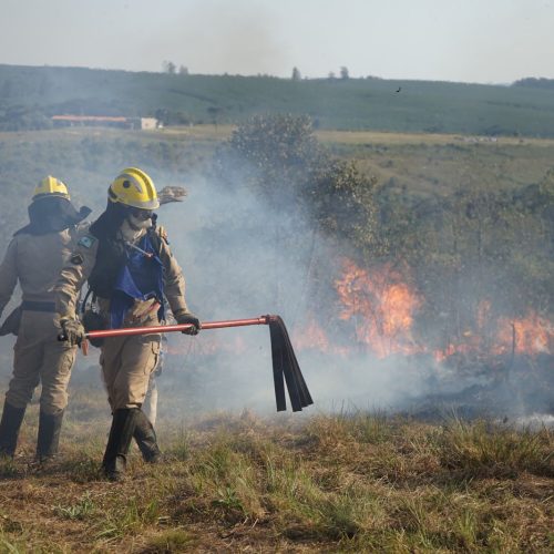 Chuvas e conscientização da população reduzem em 41% incêndios florestais no Paraná
