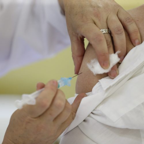 Saúde reforça necessidade da vacinação e cuidados contra a febre amarela