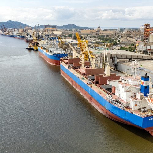 50 mil toneladas: Porto de Paranaguá registra maior operação de cevada em um navio