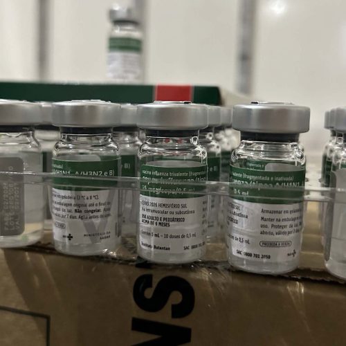 Paraná recebe 332 mil vacinas contra a gripe para início da campanha no próximo sábado