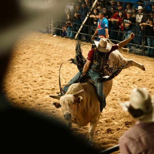 Recorde de público consolida Festa do Peão de Boiadeiro de Castro como referência no Paraná
