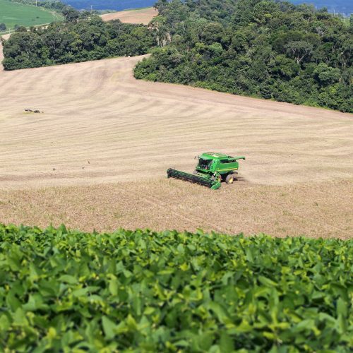 Campo mais forte: Valor Bruto de Produção da agropecuária do Paraná dobra em seis anos
