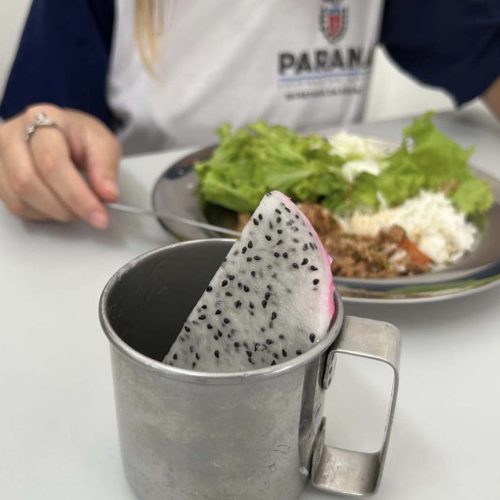 Pitaia amplia alimentação saudável nas escolas e fortalece agricultura familiar