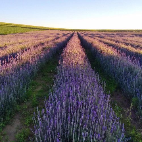 Com apoio do Viaje Paraná, turismo dos Campos Gerais é divulgado para todo o País