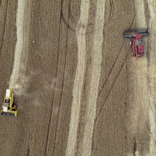 Primeira estimativa da safra 2025/26 mostra aumento na produção de soja e milho no Paraná