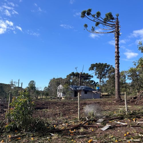 Simepar confirma tornado da categoria F2 em Reserva; ventos chegaram a 200 km/h