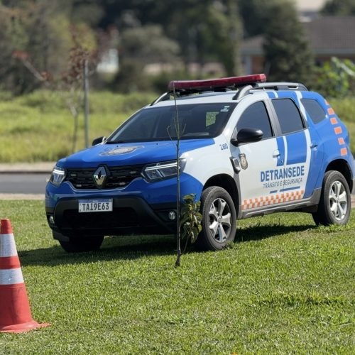 VÍDEO: Patrimônio público é alvo de vandalismo em Carambeí